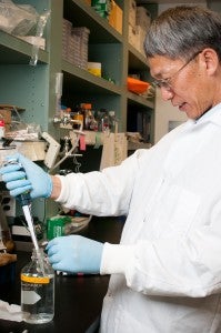 Dr. Xinbin Chen in one of his research laboratories in the Center for Companion Animal Health (CCAH) at theUniversity of California Davis School of Veterinary Medicine. Dr. Chen is part of the The Comparative Cancer Center, within the School of Veterinary Medicine at UC Davis, brings together a team of veterinary clinicians and researchers working to end suffering caused by cancer and finding new treatments in the process.