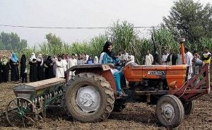 Agriculture is the largest sector of Pakistan's economy.