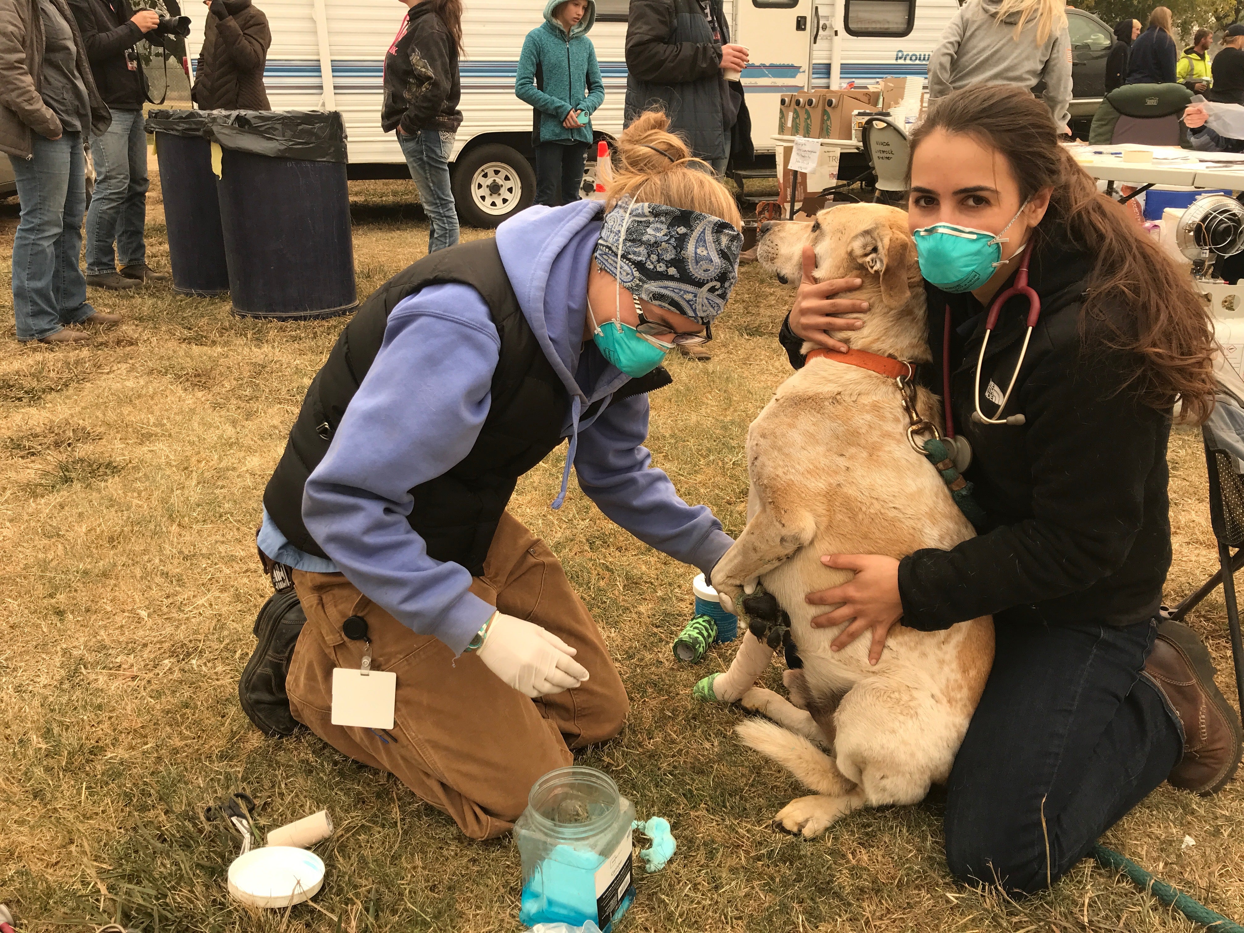 Gratitude and Hope in the Midst of Tragedy – Michael Lairmore, Dean,  Veterinary Medicine